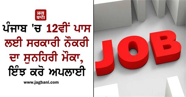 golden opportunity for government job for 12th pass in punjab
