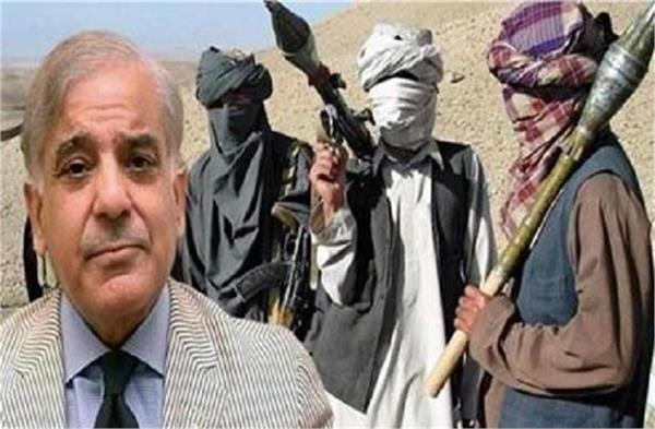 baloch militant group tehreek e taliban pakistan