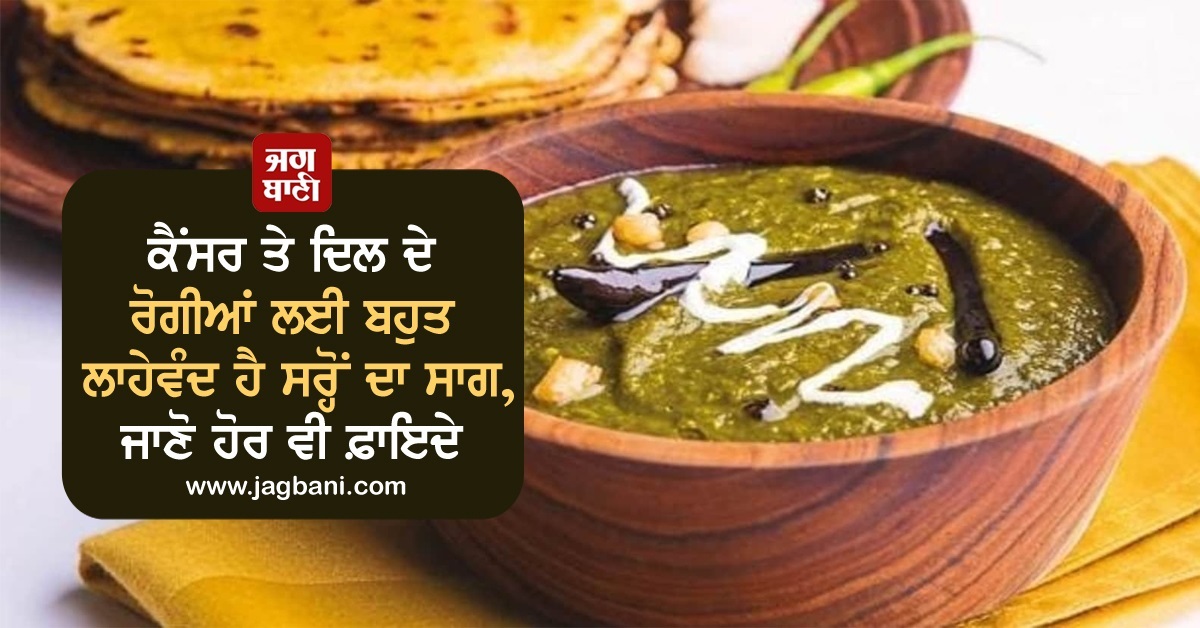 ਕੈਂਸਰ ਤੇ ਦਿਲ ਦੇ ਰੋਗੀਆਂ ਲਈ ਬਹੁਤ ਲਾਹੇਵੰਦ ਹੈ ਸਰ੍ਹੋਂ ਦਾ ਸਾਗ, ਜਾਣੋ ਹੋਰ ਵੀ ਫ਼ਾਇਦੇ
