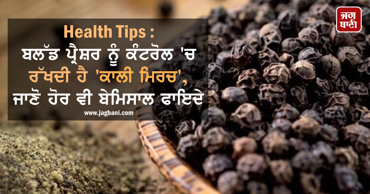 Health Tips: ਬਲੱਡ ਪ੍ਰੈਸ਼ਰ ਨੂੰ ਕੰਟਰੋਲ 'ਚ ਰੱਖਦੀ ਹੈ 'ਕਾਲੀ ਮਿਰਚ', ਜਾਣੋ ਹੋਰ ਵੀ ਬੇਮਿਸਾਲ ਫਾਇਦੇ
