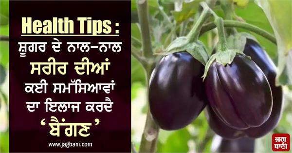health tips    brinjal   cures diabetes and many body problems