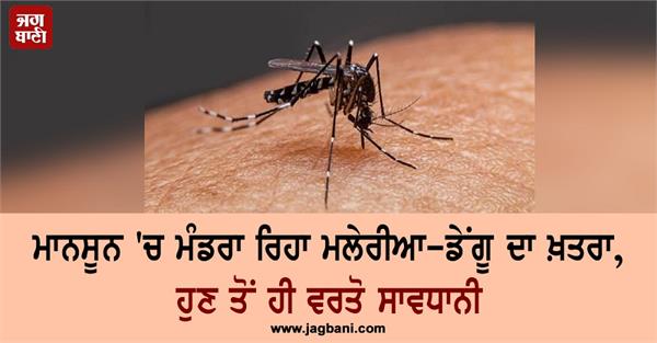 precautions for malaria and dengue