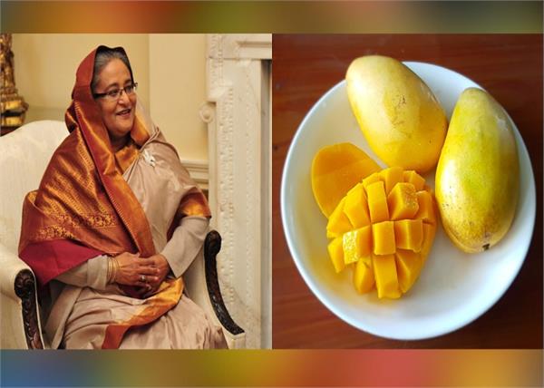 bangladesh pm sends mangoes to assam cm as a gift