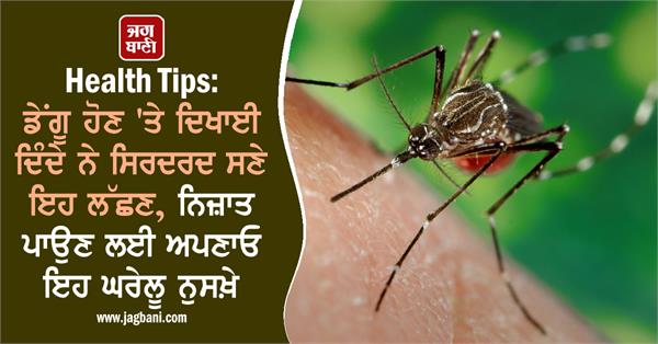 health tips dengue appears in the body with symptoms of headache