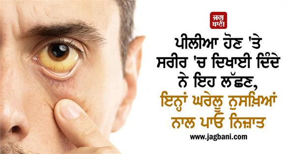 these symptoms appear in the body when jaundice occurs