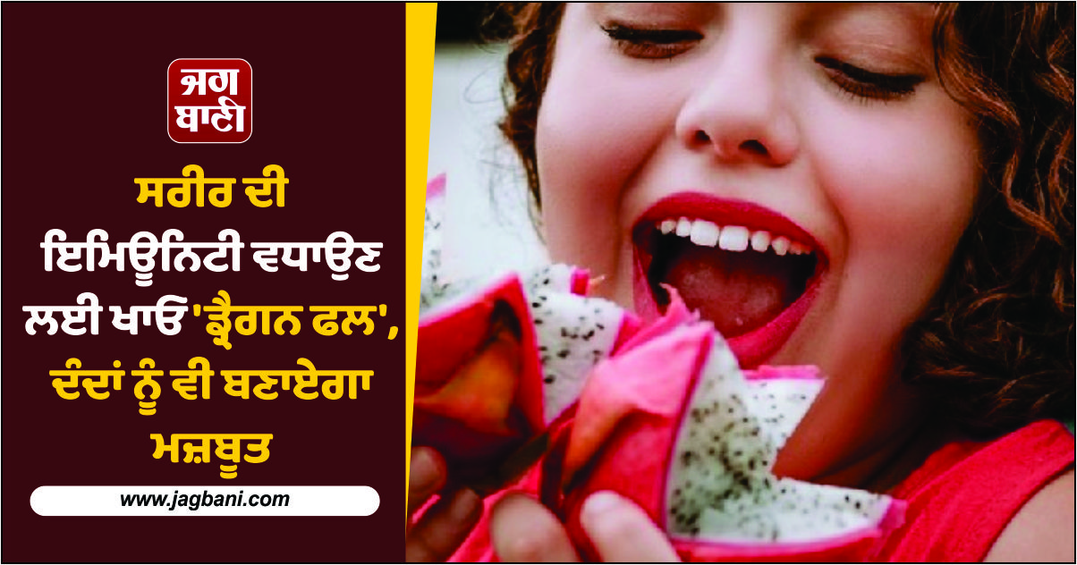 ਸਰੀਰ ਦੀ ਇਮਿਊਨਿਟੀ ਵਧਾਉਣ ਲਈ ਖਾਓ ''ਡ੍ਰੈਗਨ ਫਲ'', ਦੰਦਾਂ ਨੂੰ ਵੀ ਬਣਾਏਗਾ ਮਜ਼ਬੂਤ