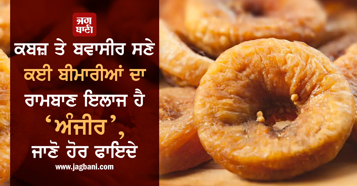 ਕਬਜ਼ ਤੇ ਬਵਾਸੀਰ ਸਣੇ ਕਈ ਬੀਮਾਰੀਆਂ ਦਾ ਰਾਮਬਾਣ ਇਲਾਜ ਹੈ ‘ਅੰਜੀਰ’, ਜਾਣੋ ਹੋਰ ਫਾਇਦੇ
