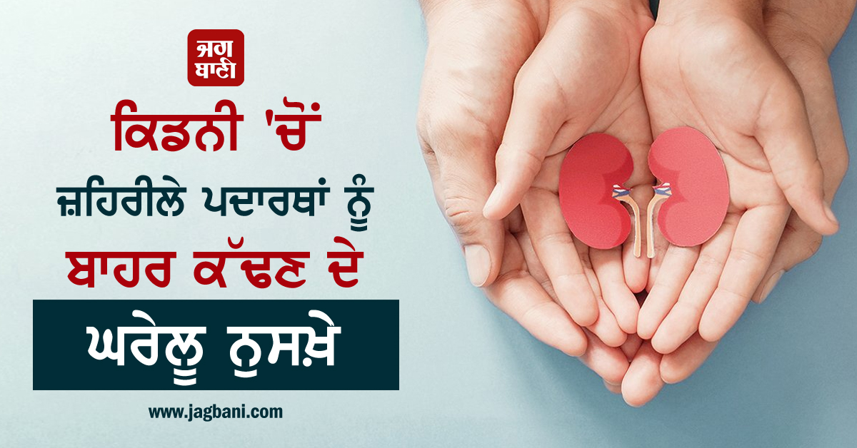 ਕਿਡਨੀ 'ਚੋਂ ਜ਼ਹਿਰੀਲੇ ਪਦਾਰਥਾਂ ਨੂੰ ਬਾਹਰ ਕੱਢਣ ਦੇ ਘਰੇਲੂ ਨੁਸਖ਼ੇ