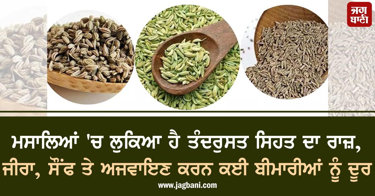 ਮਸਾਲਿਆਂ 'ਚ ਲੁਕਿਆ ਹੈ ਤੰਦਰੁਸਤ ਸਿਹਤ ਦਾ ਰਾਜ਼,  ਜੀਰਾ, ਸੌਂਫ ਤੇ ਅਜਵਾਇਣ ਕਰਨ ਕਈ ਬੀਮਾਰੀਆਂ ਦੂਰ