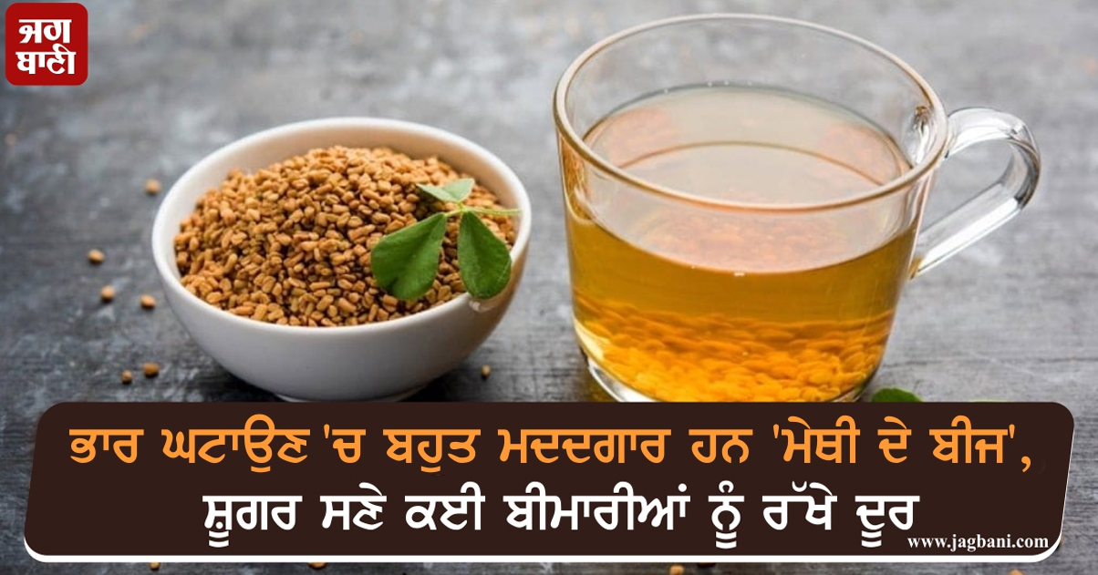 ਭਾਰ ਘਟਾਉਣ 'ਚ ਬਹੁਤ ਮਦਦਗਾਰ ਹਨ 'ਮੇਥੀ ਦੇ ਬੀਜ', ਸ਼ੂਗਰ ਸਣੇ ਕਈ ਬੀਮਾਰੀਆਂ ਨੂੰ ਰੱਖੇ ਦੂਰ