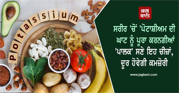 potassium rich foods potatoes seafood