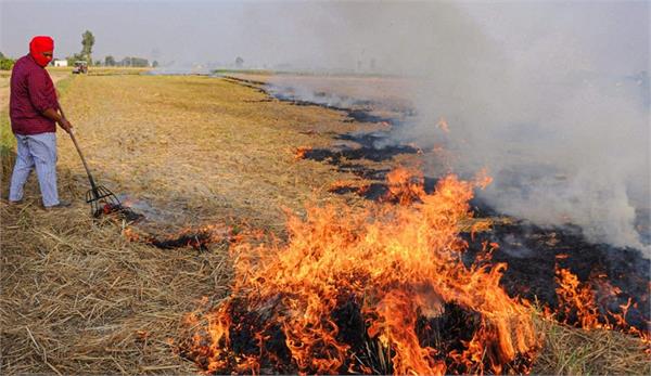 case registered against person who set fire to paddy residue