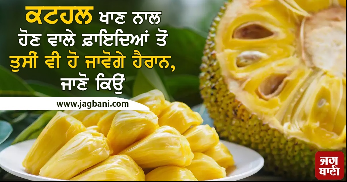 ਕਟਹਲ ਖਾਣ ਨਾਲ ਹੋਣ ਵਾਲੇ ਫ਼ਾਇਦਿਆਂ ਤੋਂ ਤੁਸੀਂ ਵੀ ਹੋ ਜਾਵੋਗੇ ਹੈਰਾਨ, ਜਾਣੋ ਕਿਉਂ