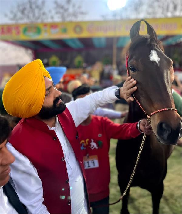 punjab to priortise horse rearing as agro auxiliary occupation