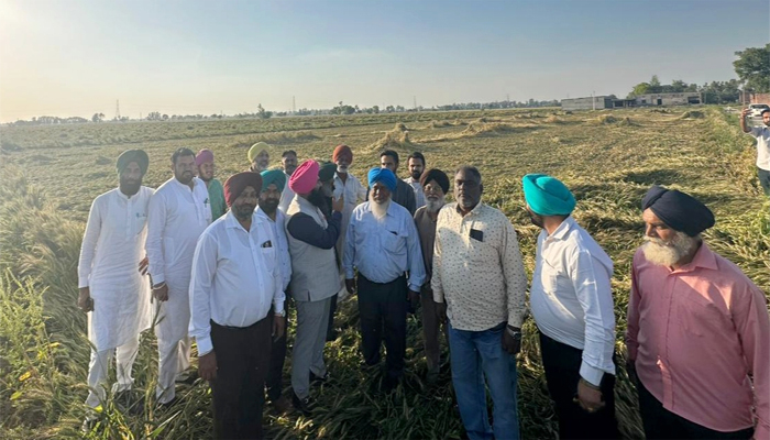 ਵਿਧਾਇਕ ਜਸਵੀਰ ਰਾਜਾ ਨੇ ਬੇਮੌਸਮੀ ਬਾਰਿਸ਼ ਕਾਰਨ ਨੁਕਸਾਨੀ ਫ਼ਸਲ ਦਾ ਜਾਇਜ਼ਾ ਲਿਆ