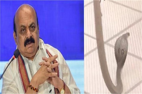 ਭਾਜਪਾ ਦਫ਼ਤਰ ਦੇ ਕੰਪਲੈਕਸ ''ਚ ਆਇਆ ਸੱਪ, CM ਬੋਮਈ ਕਰ ਰਹੇ ਸਨ ਬੈਠਕ