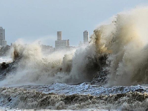 cyclone montha 11000 electricity workers