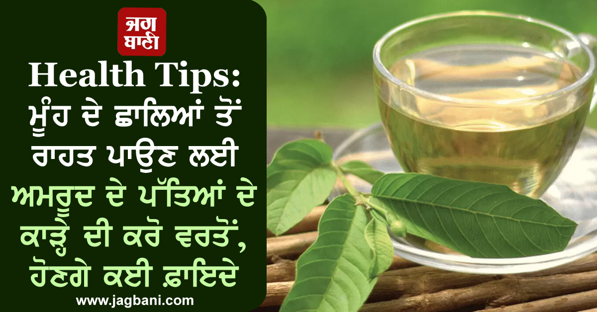 Health Tips: ਮੂੰਹ ਦੇ ਛਾਲਿਆਂ ਤੋਂ ਰਾਹਤ ਪਾਉਣ ਲਈ ਅਮਰੂਦ ਦੇ ਪੱਤਿਆਂ ਦੇ ਕਾੜ੍ਹੇ ਦੀ ਕਰੋ ਵਰਤੋਂ, ਹੋਣਗੇ ਕਈ ਫ਼ਾਇਦੇ