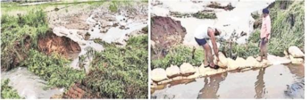 hundreds of acres of fields were filled with water due to monsoon