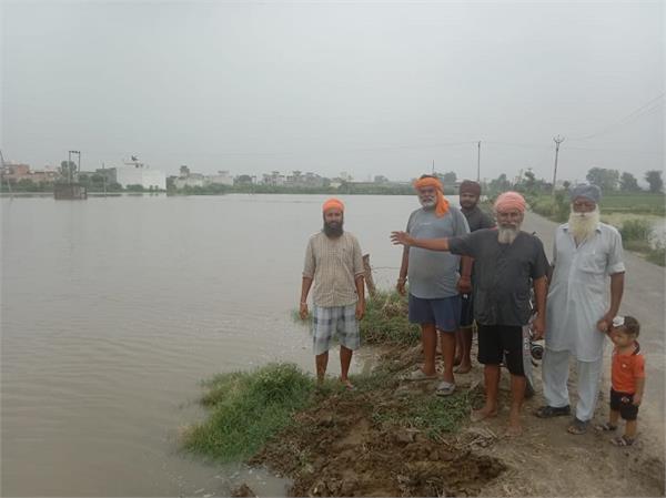 thousands of acres of crops were submerged in rain water