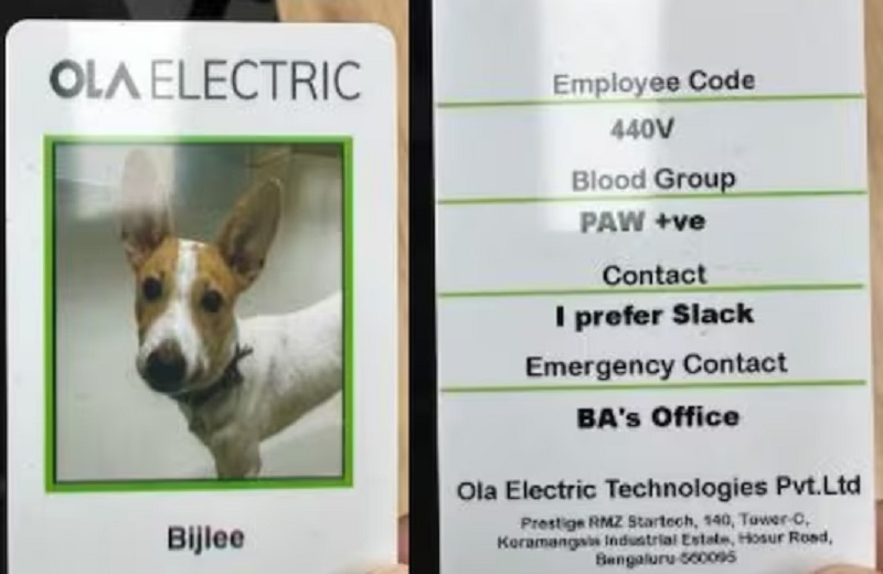 ਇਹ ਹੈ Ola ਇਲੈਕਟ੍ਰਿਕ ਦਾ ਨਵਾਂ ਕਰਮਚਾਰੀ, CEO ਨੇ ਸਾਂਝਾ ਕੀਤਾ ID ਕਾਰਡ, ਤਸਵੀਰ ਦੇਖ ਨਿਕਲੇਗਾ ਹਾਸਾ