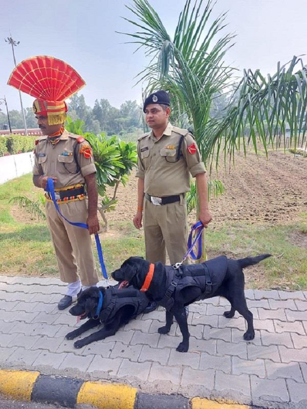 narcotics dogs pinky and blue helping bsf personnel