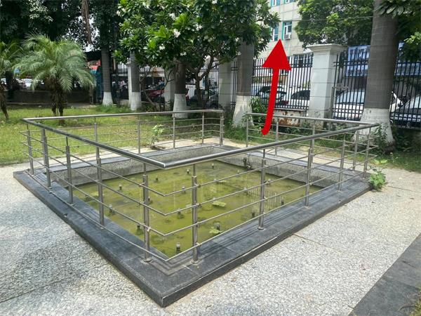 dangerous mosquitoes in standing water window corporation commissioner office