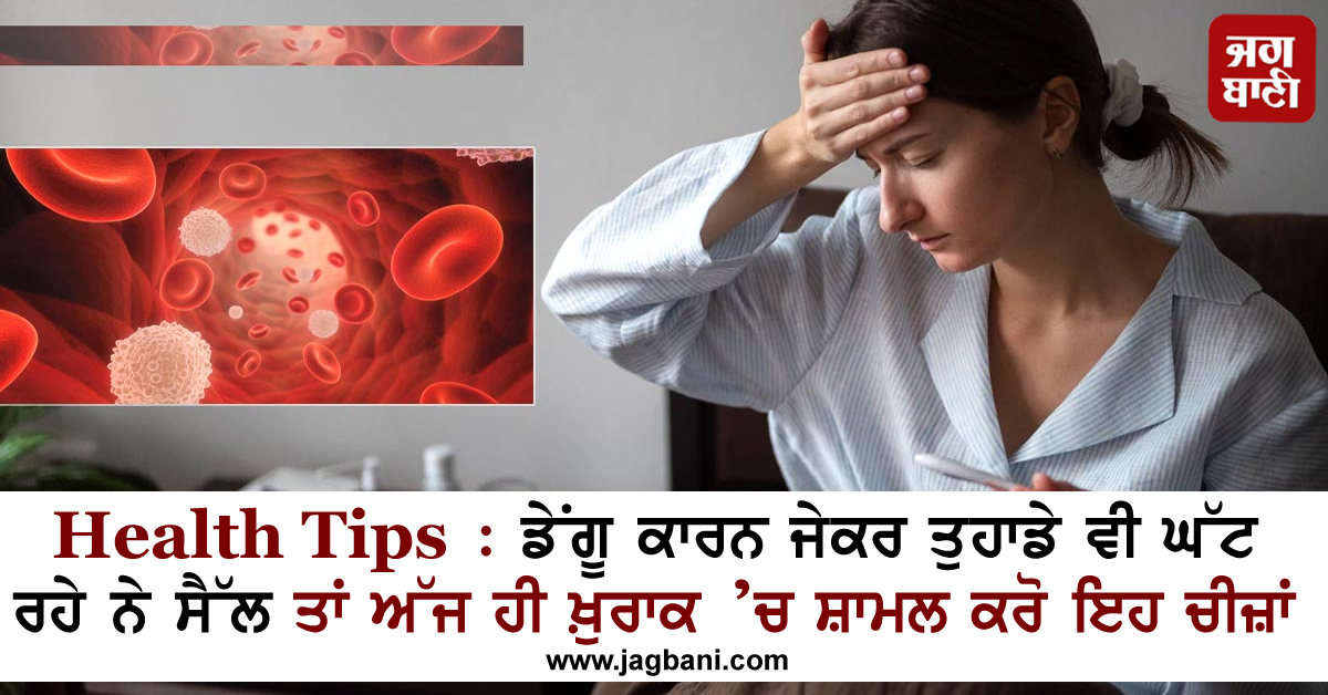 Health Tips : ਡੇਂਗੂ ਕਾਰਨ ਜੇਕਰ ਤੁਹਾਡੇ ਵੀ ਘੱਟ ਰਹੇ ਨੇ ਸੈੱਲ ਤਾਂ ਅੱਜ ਹੀ ਖ਼ੁਰਾਕ ’ਚ ਸ਼ਾਮਲ ਕਰੋ ਇਹ ਚੀਜ਼ਾਂ