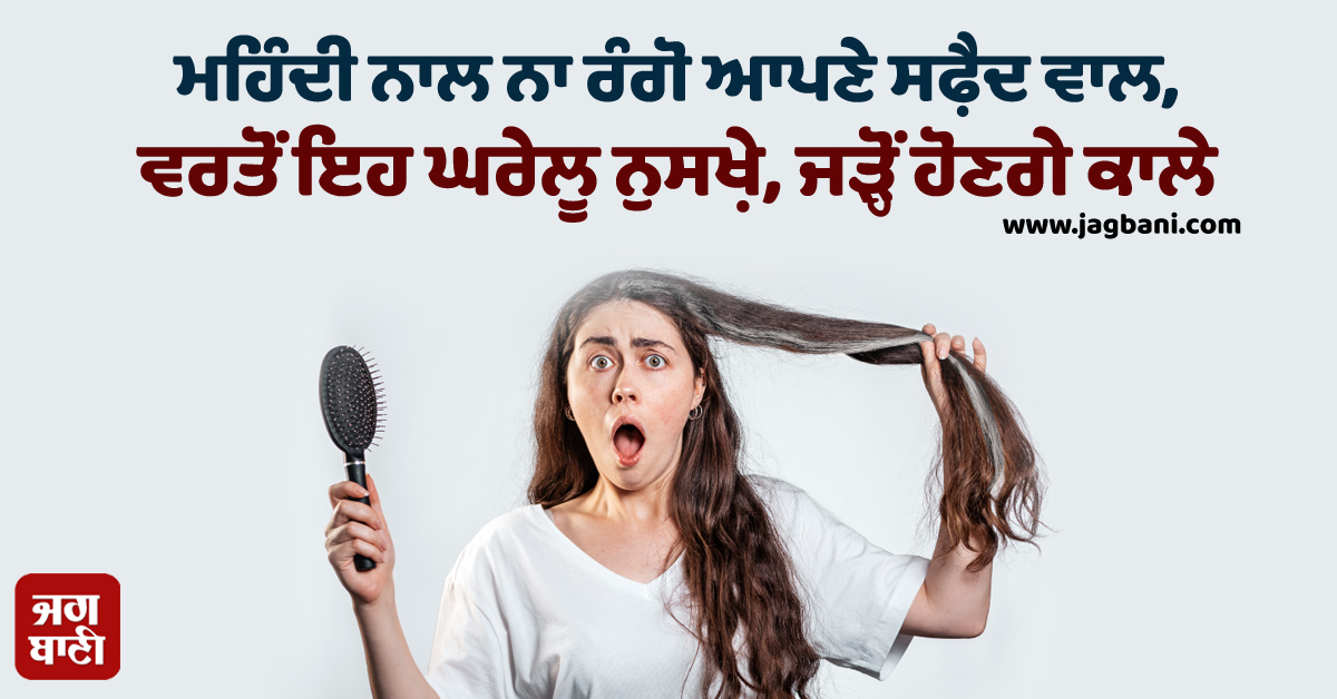 ਮਹਿੰਦੀ ਨਾਲ ਨਾ ਰੰਗੋ ਆਪਣੇ ਸਫ਼ੈਦ ਵਾਲ, ਵਰਤੋਂ ਇਹ ਘਰੇਲੂ ਨੁਸਖ਼ੇ, ਜੜ੍ਹੋਂ ਹੋਣਗੇ ਕਾਲੇ