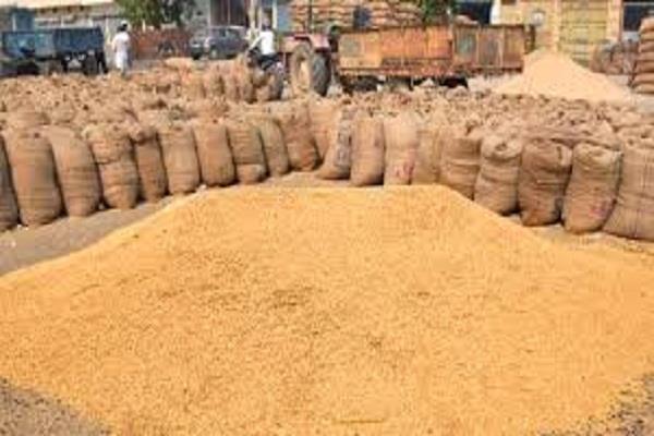paddy procurement continues