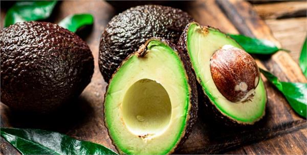 farmers  income avocado farming