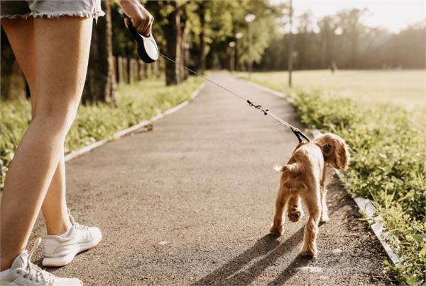 if you spit on the road you will have to pay a fine