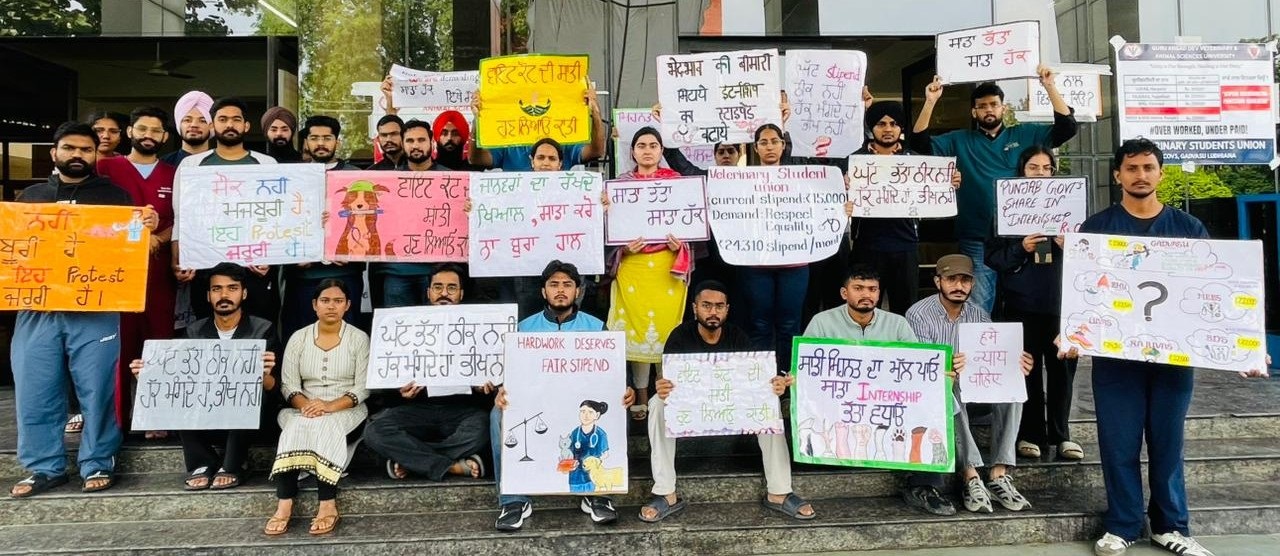ਵੈਟਰਨਰੀ ਵਿਦਿਆਰਥੀਆਂ ਦੀ ਹੜਤਾਲ 13ਵੇਂ ਦਿਨ ’ਚ ਦਾਖ਼ਲ, ਇੰਟਰਨ ਡਾਕਟਰ ਵਜ਼ੀਫਾ ਵਧਾਉਣ ਦੀ ਮੰਗ ’ਤੇ ਅੜੇ