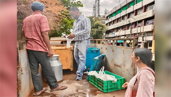 the food safety team collected food samples