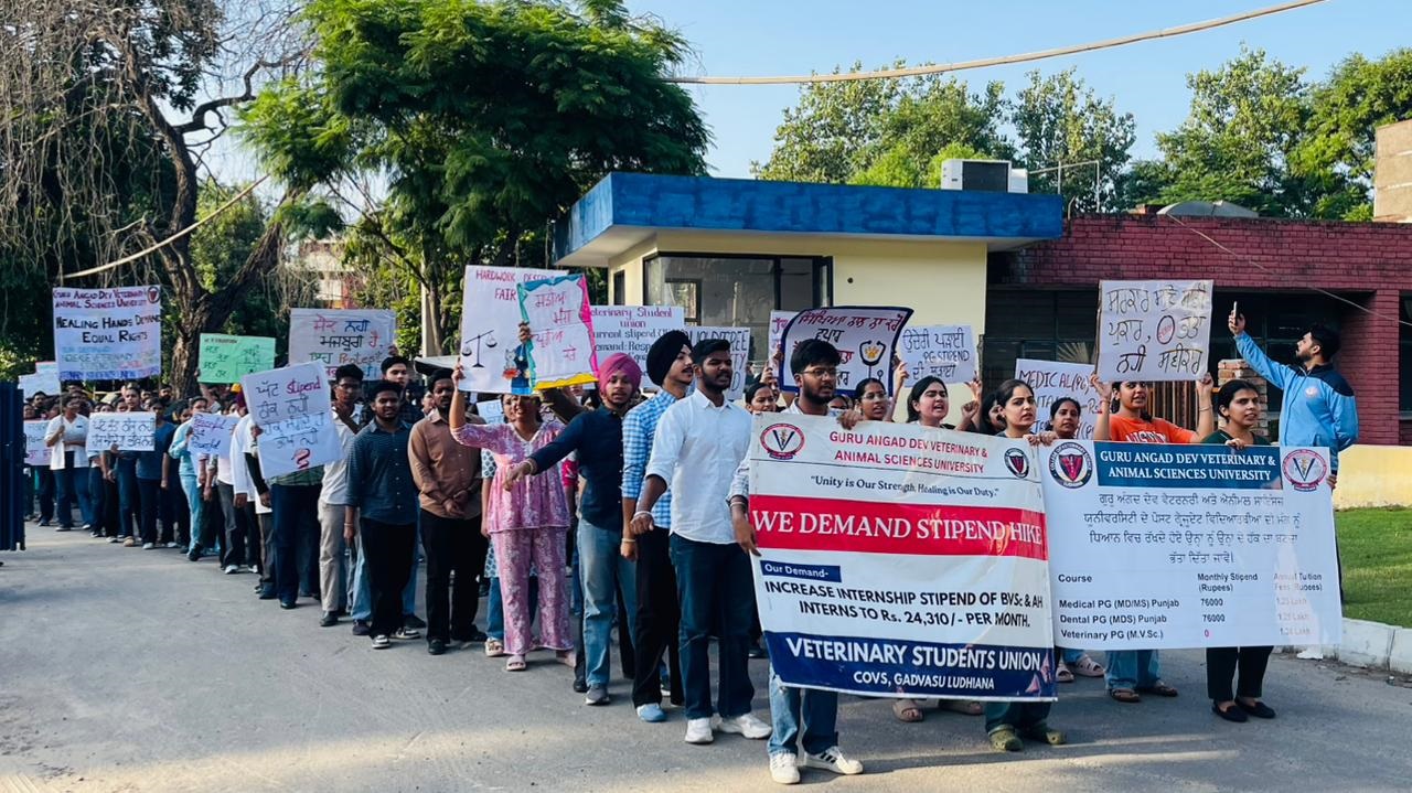 ਵੈਟਰਨਰੀ ਵਿਦਿਆਰਥੀਆਂ ਦੀਆਂ ਮੰਗਾਂ ’ਤੇ ਹੁਣ ਤੱਕ ਸਰਕਾਰ ਚੁੱਪ, 14ਵੇਂ ਦਿਨ ਵੀ ਜਾਰੀ ਰਿਹਾ ਧਰਨਾ