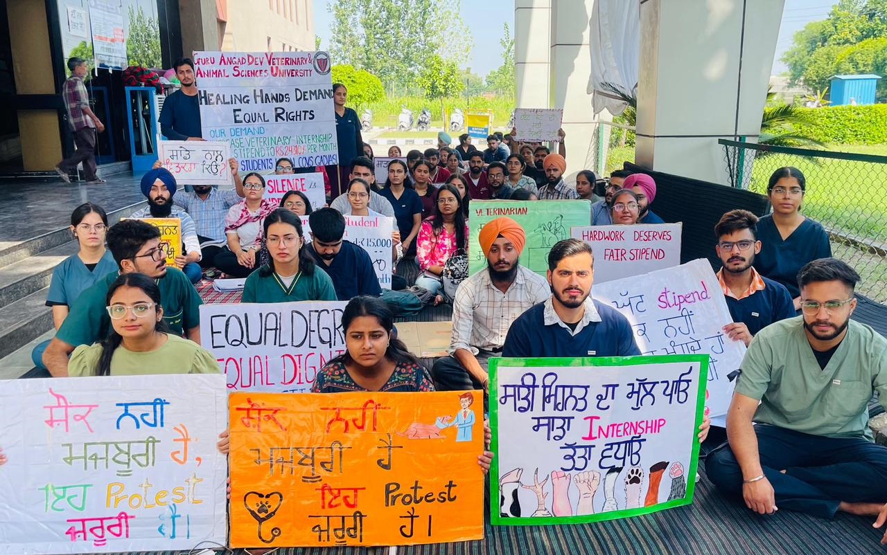 ਸਰਕਾਰ ਦੀ ਲਾਰੇਬਾਜ਼ੀ ਨਾਲ ਟੁੱਟਣ ਲੱਗਿਆ ਵੈਟਰਨਰੀ ਵਿਦਿਆਰਥੀਆਂ ਦਾ ਸਬਰ, ਓ. ਪੀ. ਡੀ. ਬੰਦ ਕਰਨ ਦਾ ਐਲਾਨ