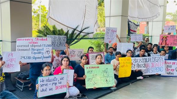 veterinary students hunger strike announced