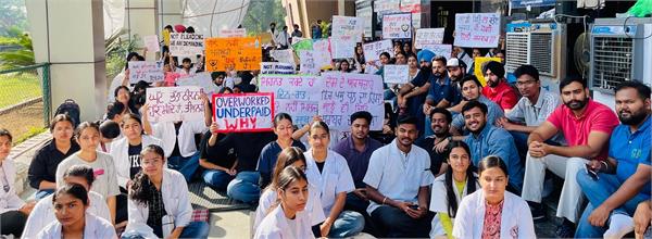 administration under pressure to close opd services of veterinary doctors