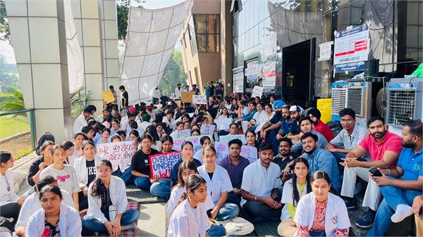 veterinary students continue their strike on the 21st day