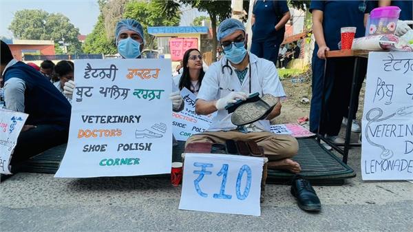 veterinary students unique protest