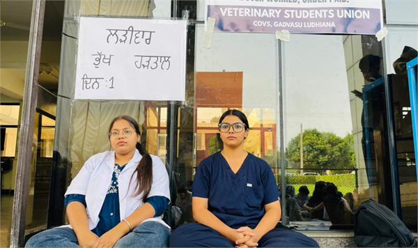 veterinary students   patience breaks