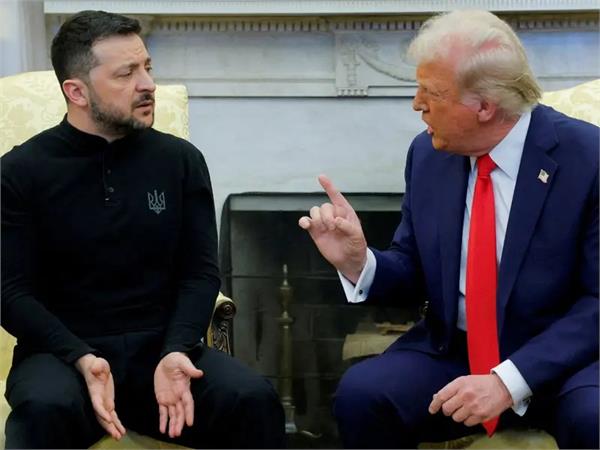 trump zelenskyy meeting