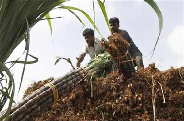 good news for farmers