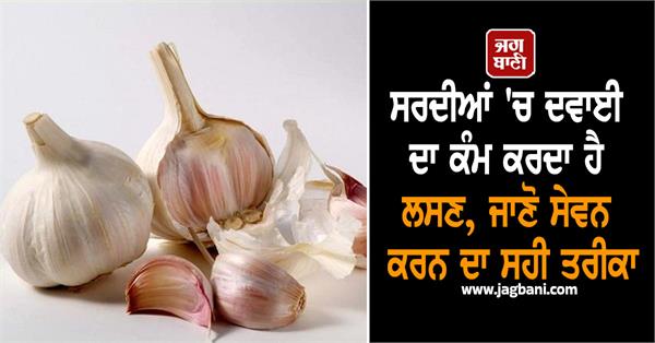 winter medicine garlic health