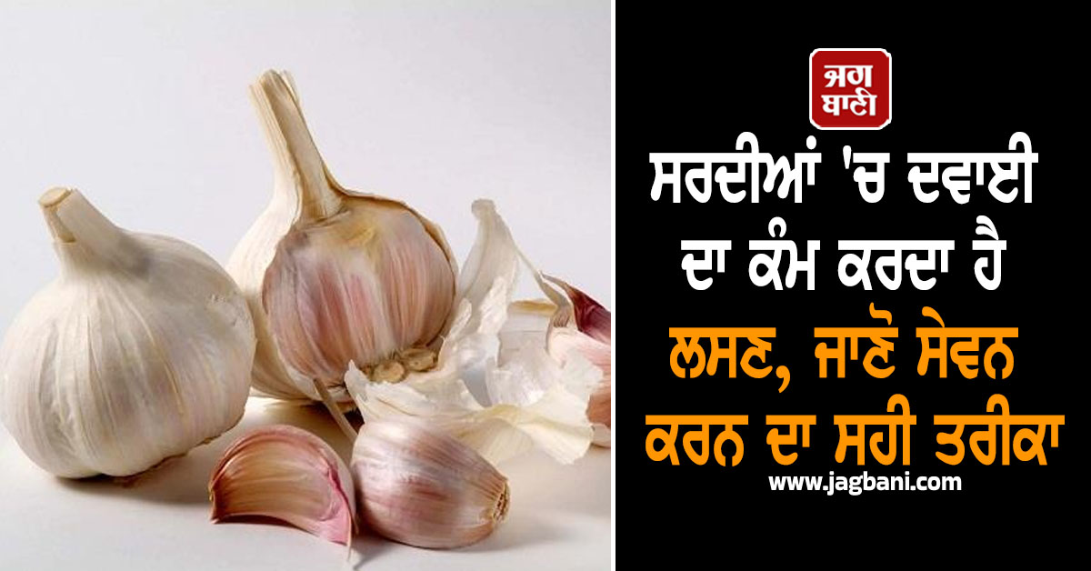 ਸਰਦੀਆਂ 'ਚ ਦਵਾਈ ਦਾ ਕੰਮ ਕਰਦਾ ਹੈ ਲਸਣ, ਜਾਣੋ ਸੇਵਨ ਕਰਨ ਦਾ ਸਹੀ ਤਰੀਕਾ