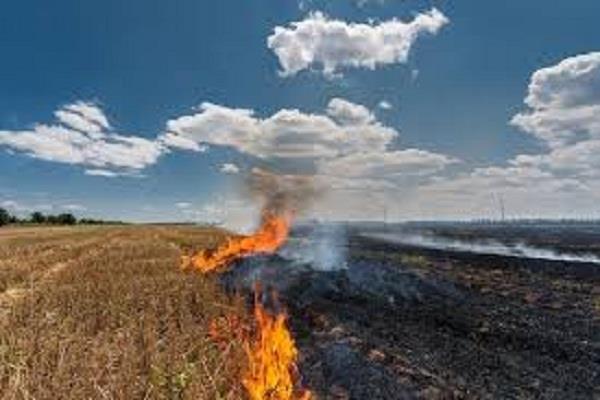 case registered against unidentified person for setting stubble on fire