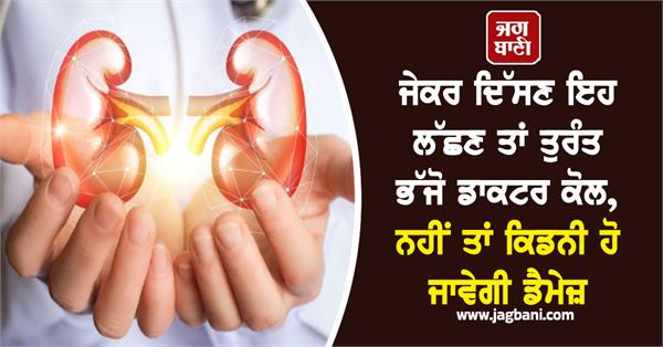 kidney  damage  doctor  symptoms