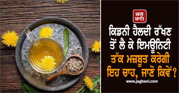 kidney  health  dandelion tea  benefits