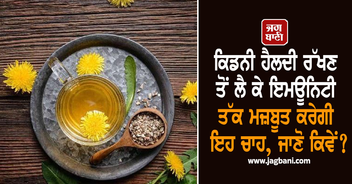 ਕਿਡਨੀ ਹੈਲਦੀ ਰੱਖਣ ਤੋਂ ਲੈ ਕੇ ਇਮਊਨਿਟੀ ਤੱਕ ਮਜ਼ਬੂਤ ਕਰੇਗੀ ਇਹ ਚਾਹ, ਜਾਣੋ ਕਿਵੇਂ?