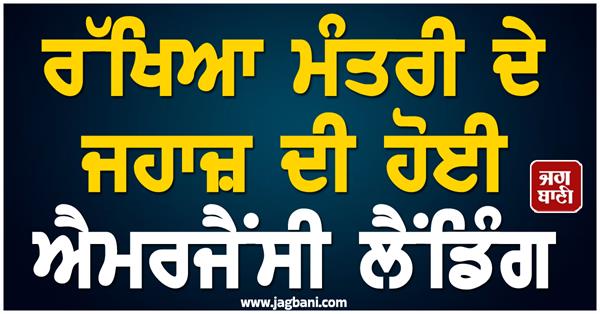 defense minister plane emergency landing